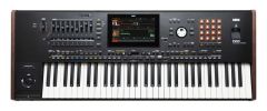 Korg Pa5X Professional Arranger