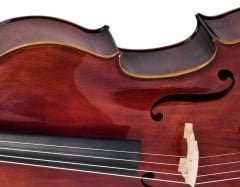 Valler CLS470 Parlak Cilalı Ladin - Akçaağaç 4/4 Profesyonel Çello