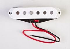 GCS-1B