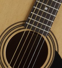 Cort AF510-OPW Akustik Gitar + Kılıf