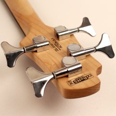 Cort AB5PLUSBM 5 Telli Bas Gitar