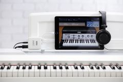 plugKEY