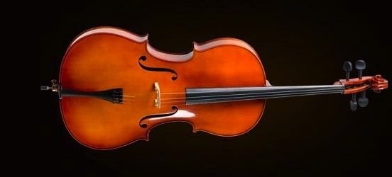 CELLO KILIFLI+YAY+REÇİNE, 1/2 SCALE, GERMAN SİSTEM, ABANOZ BURGULAR