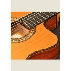 Camps Nac4-S Elektro Klasik Gitar Ladin Kapak Fıshman Pro Blend