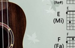 UKULELE POSTERİ - Müzik Afişi