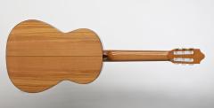 Camps M-5-S Flameko Gitar