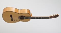 Camps M-5-S Flameko Gitar