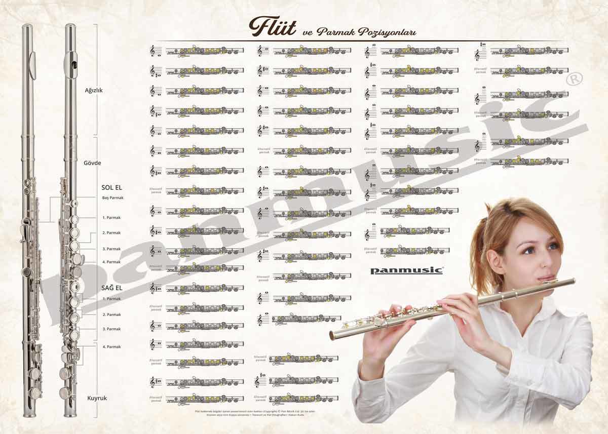 Flüt Posteri - Müzik Afişi